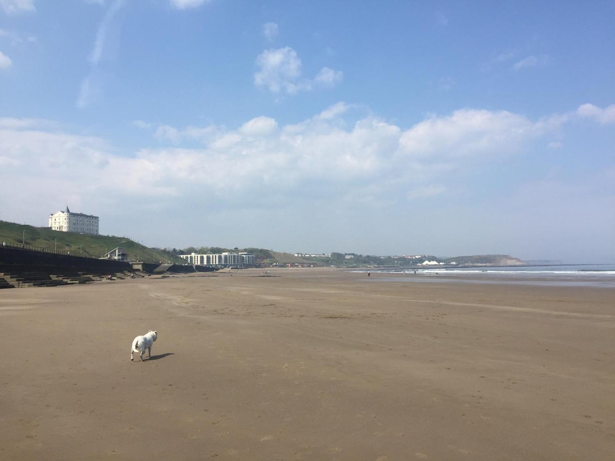 The Leeway Hotel Scarborough Buitenkant foto